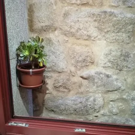 Lejlighed Ana's Porto